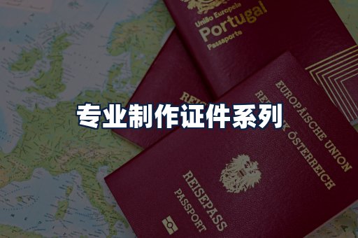 专业制作证件